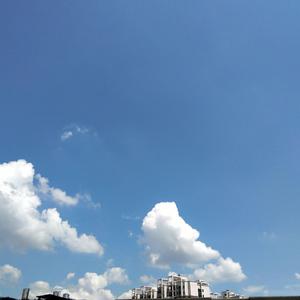 青色大脑主角各种死亡结局
