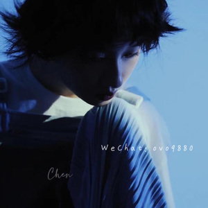 美女前插式动态视频
