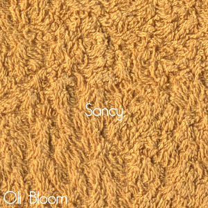 淫媳荡公淫肉大战小说
