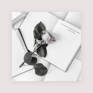 大櫆响2024年的作品
