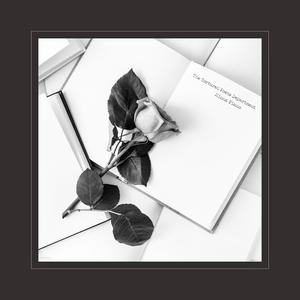 很鲁鲁在线视频
