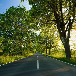 国产小视频孩交免费
