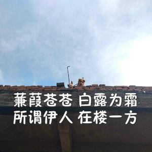 免费孩交网站在线观看
