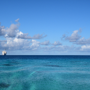 陈美娇花园大酒店
