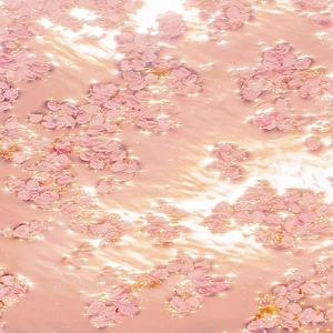 苍老师巅峰之作第1季
