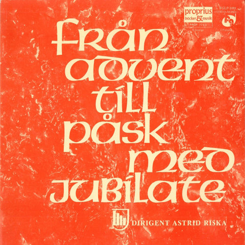 夜夜春精品视频
