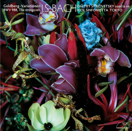 久久精品看国产成人
