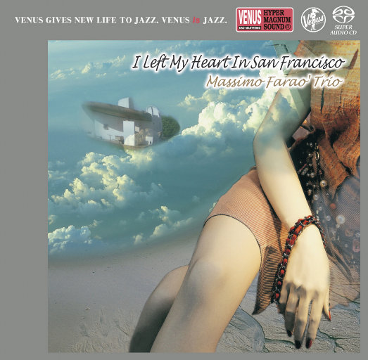 陆小莹阿庆的小说最新
